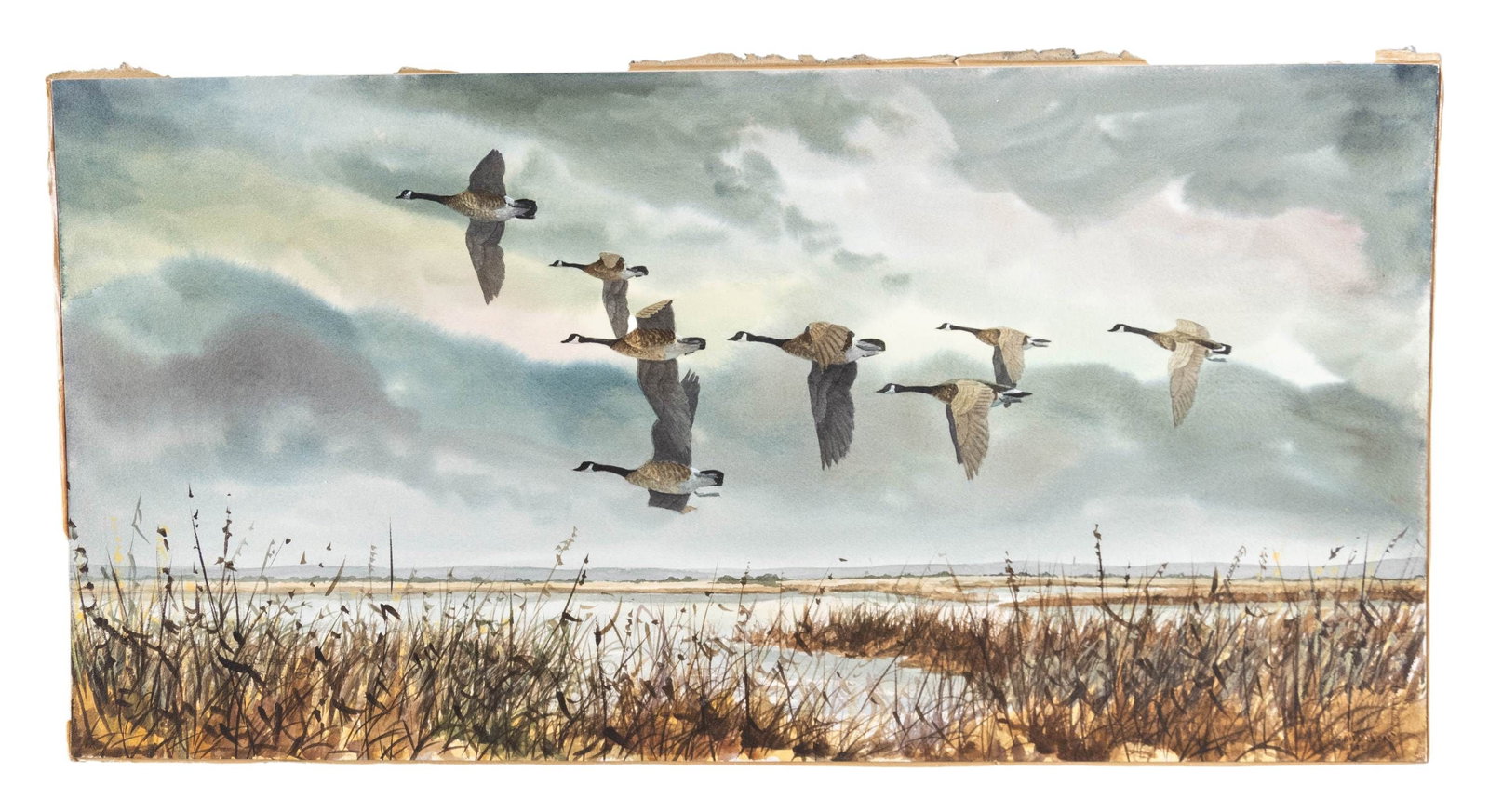 UNFRAMED WATERCOLOR CANADA GEESE BY GERALD PETTIT.: 8 Canada geese flying over marsh. Signed "Gerald Pettit 1981" (1925-2012) in grass at lower left. SIZE: overall 26" x 13". CONDITION: good; with old tape around edges. PROVENANCE: From the Private