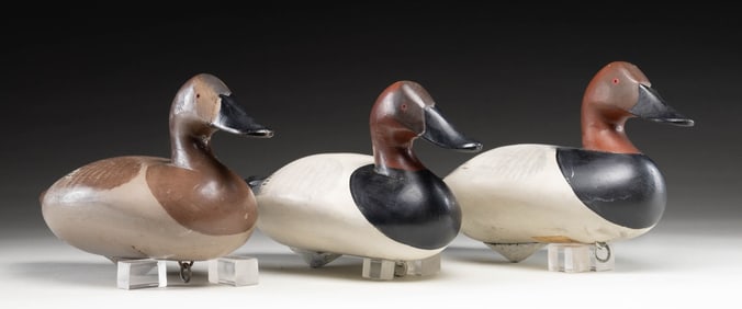 3 MADISON MITCHELL CANVASBACK DECOYS 2 DRAKES &