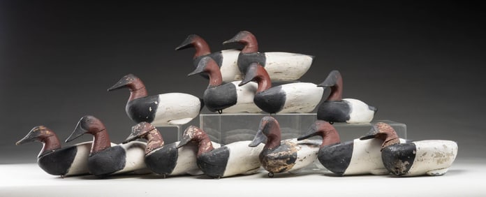 13 VINTAGE CANVASBACK WORKING DECOYS.