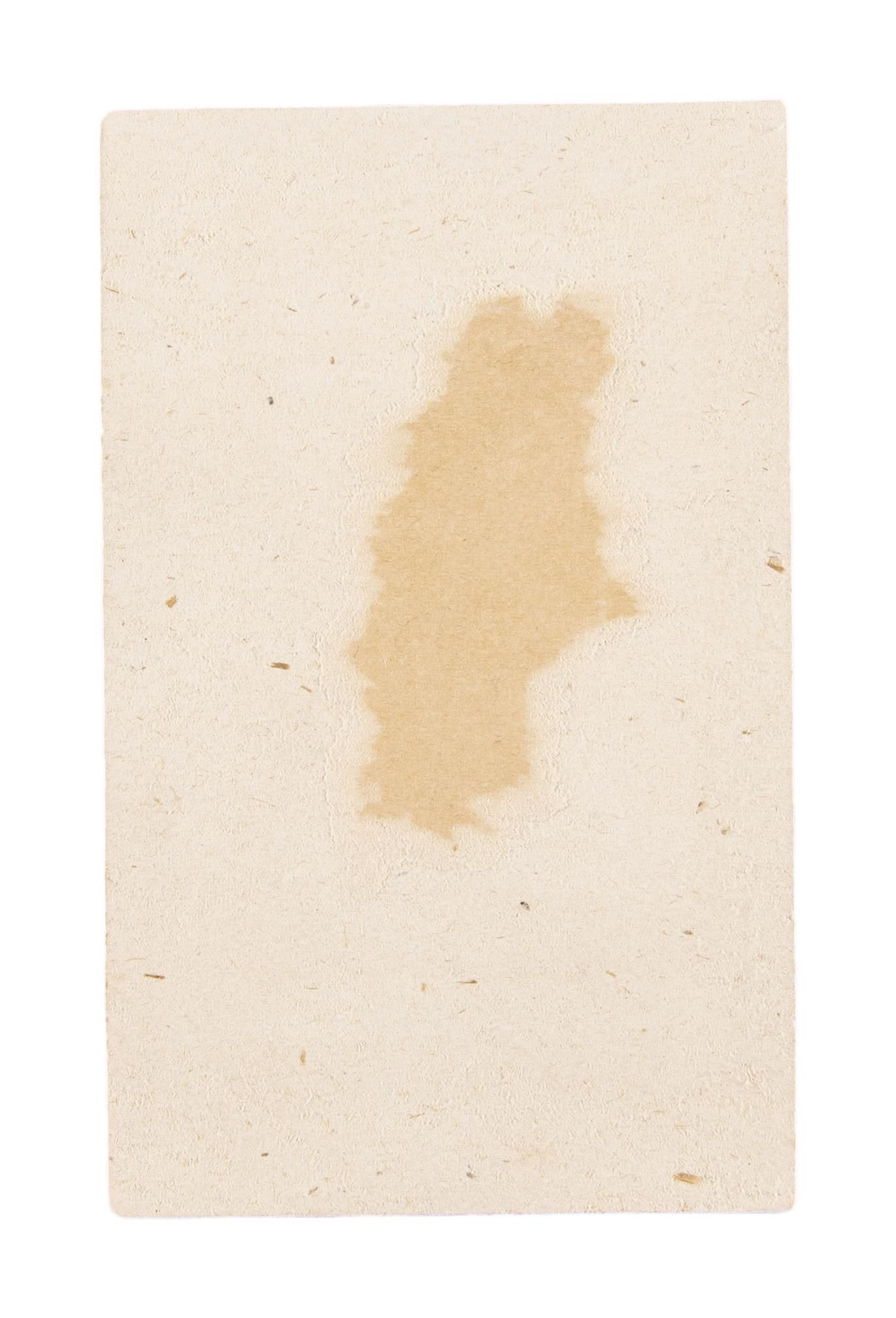 FINE ROBERT E LEE SIGNED CDV. - 2