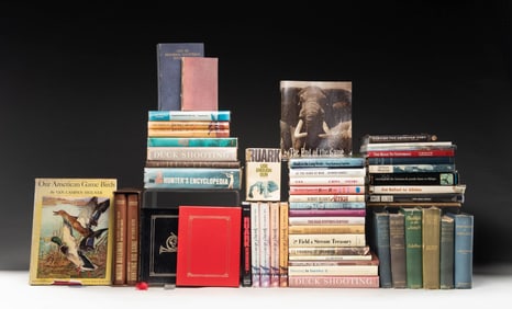 LARGE AND DESIRABLE VARIETY OF SAFARI AND HUNTING