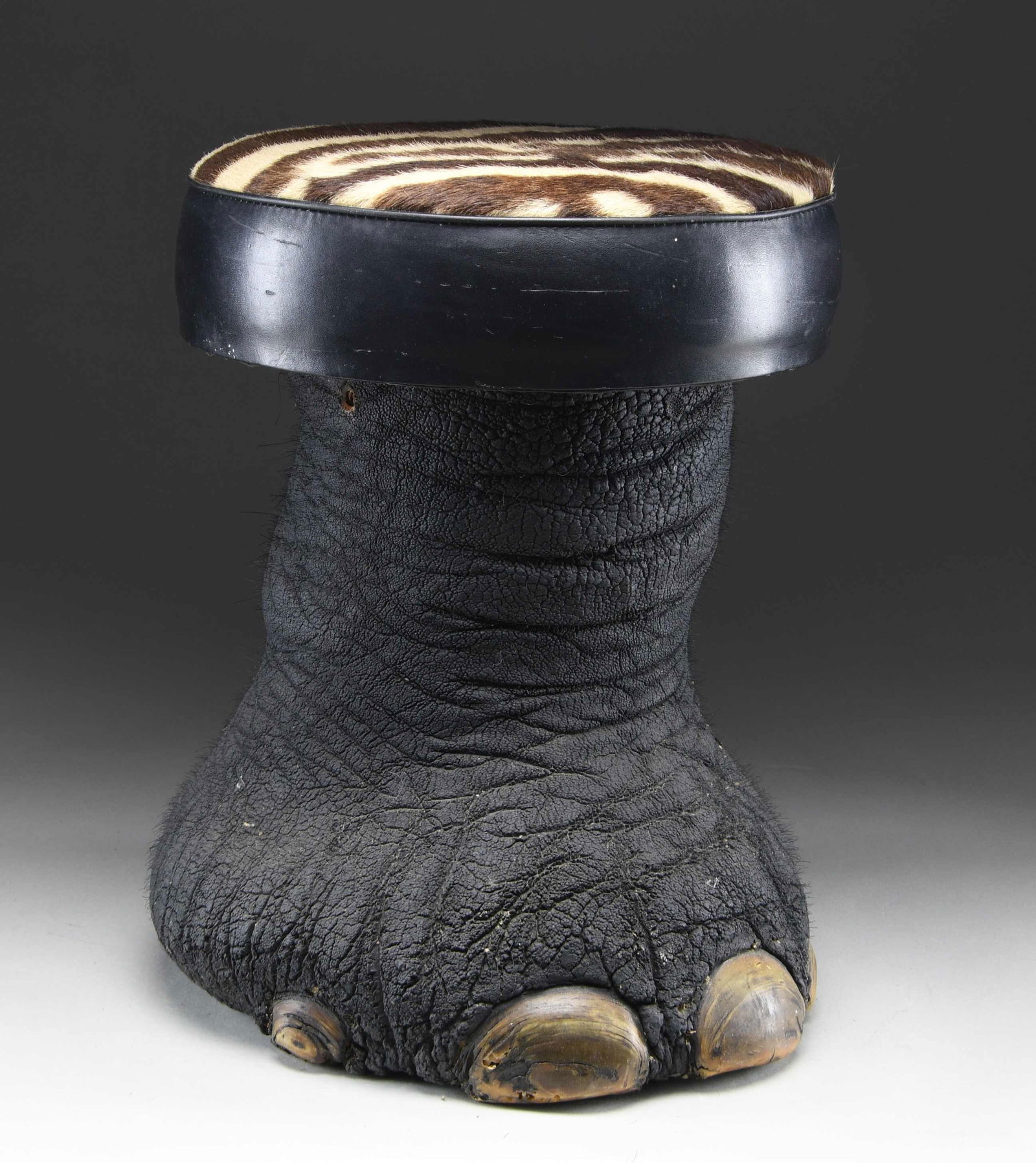 REAL ELEPHANT FOOT MADE INTO A FOOT STOOL OR: SITTING STOOL. This elephant foot has been made into a sitting stool or foot stool by local craftsmen in India. This example measures approximately 19" in height and approximately 14" in width at the