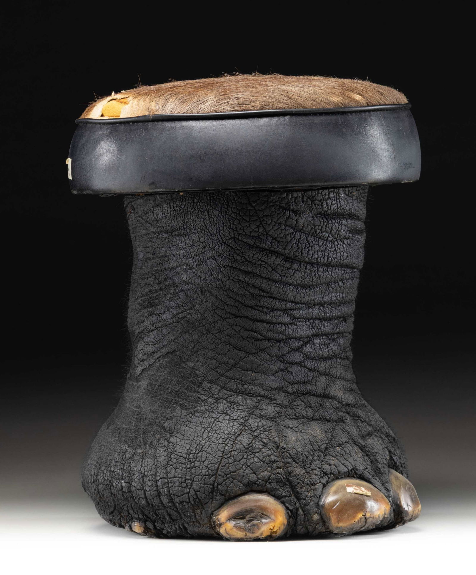 REAL ELEPHANT FOOT MADE INTO A STOOL.: This elephant foot has been made into a sitting stool or foot stool by local craftsmen in India. This example measures approximately 17" in height and approximately 13" in width at the seat. The seat