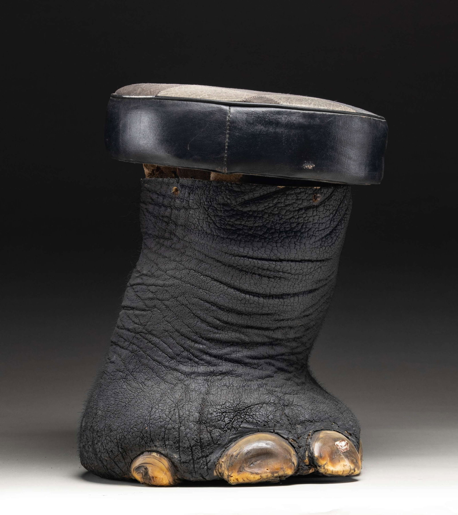 REAL ELEPHANT FOOT MADE INTO A STOOL.: This elephant foot has been made into a sitting stool or foot stool by local craftsmen in India. This example measures approximately 19" in height and approximately 13.5" in width at the seat. The sea