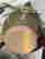 item-137042602=3