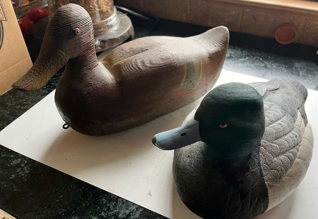 Pr. Decoys (1 of 6)