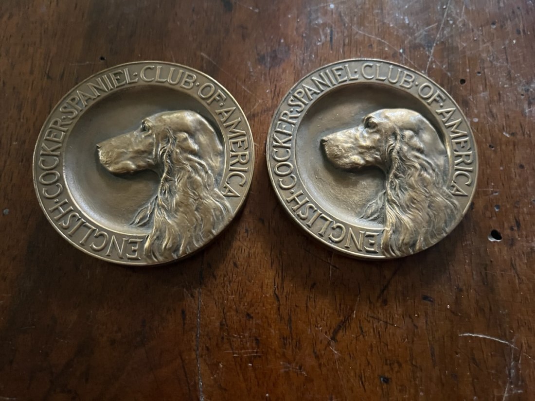 Bronze English cocker-spaniel club of America Medals (1 of 5)