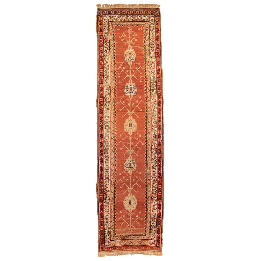 Persian Melayer runner (1 of 1)
