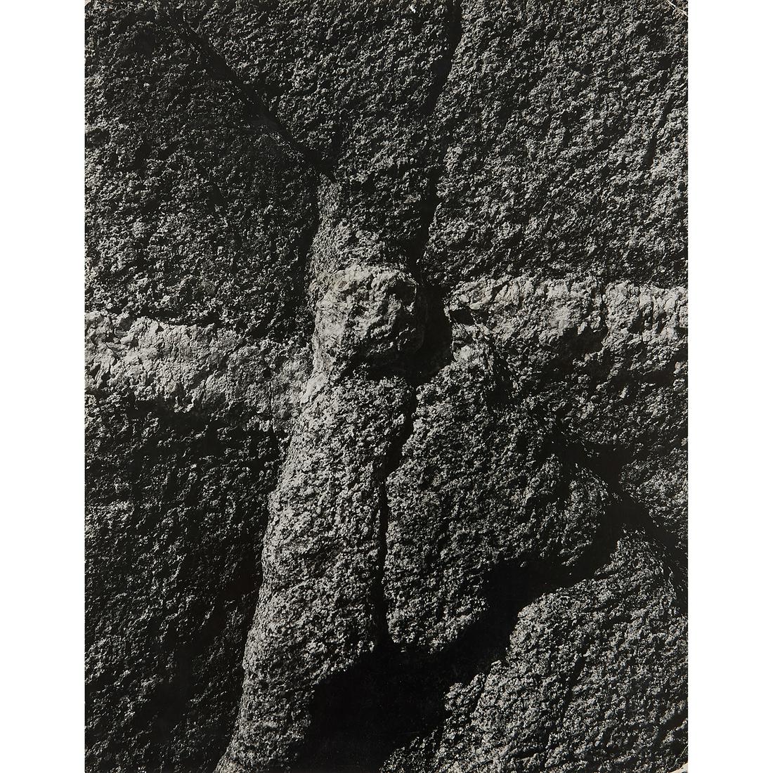 Aaron Siskind, Martha (1 of 1)