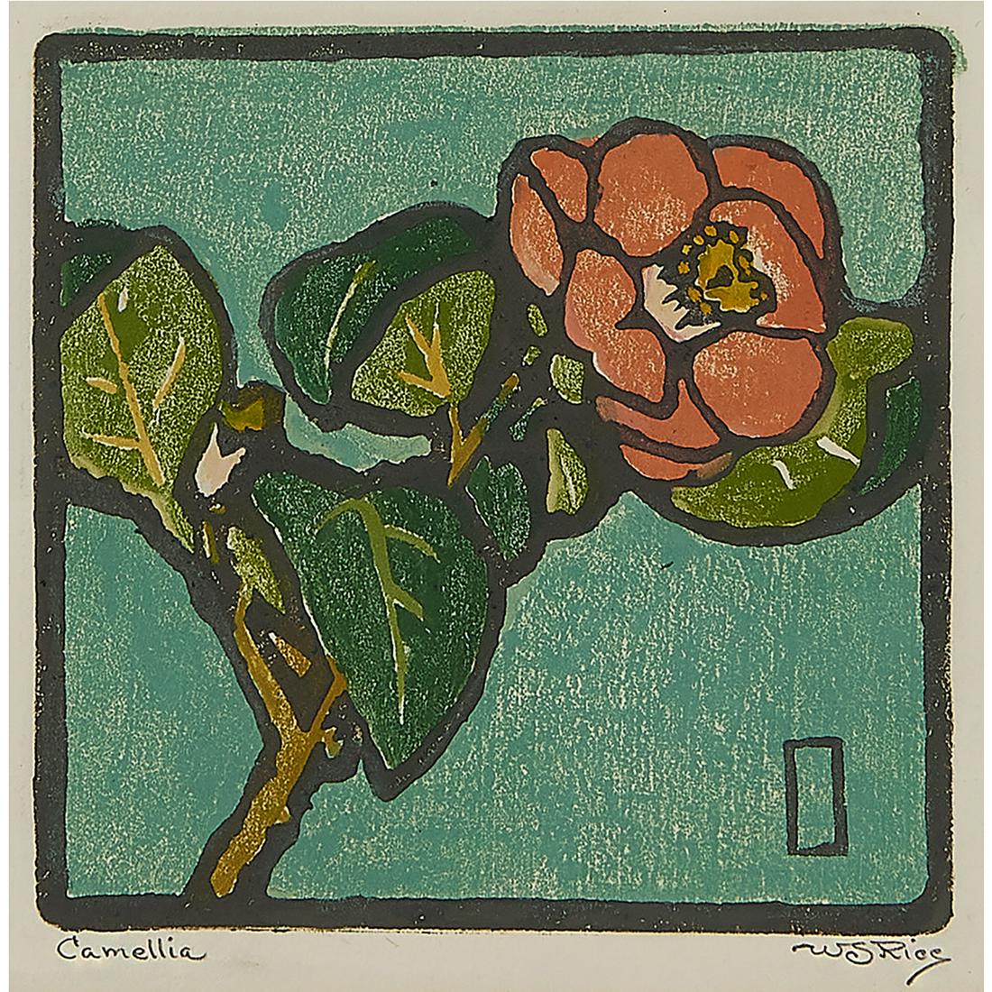 William Seltzer Rice, Camellia, woodblock (1 of 2)