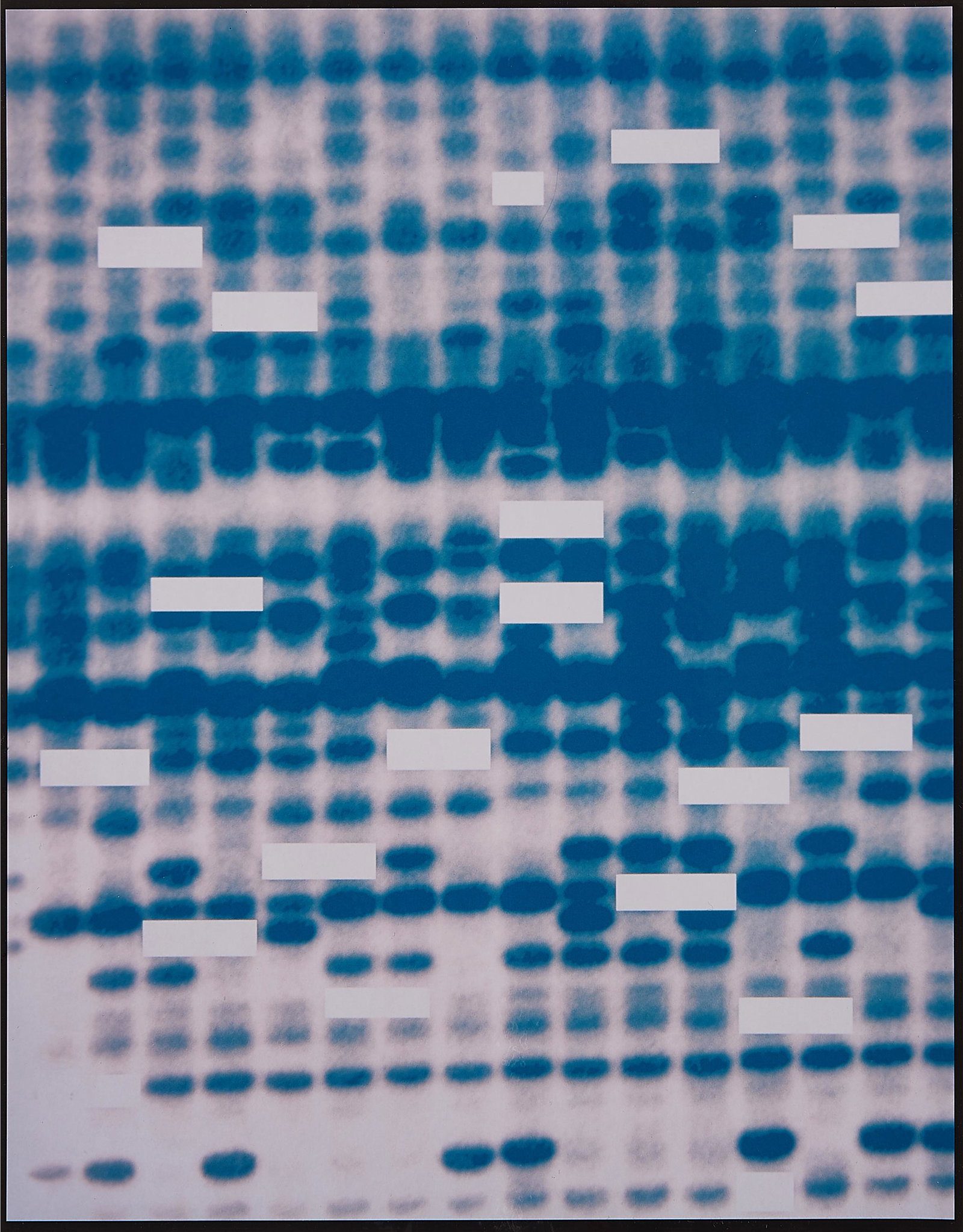 Inigo Manglano-Ovalle, DNA Portrait, circa 1998 (1 of 2)