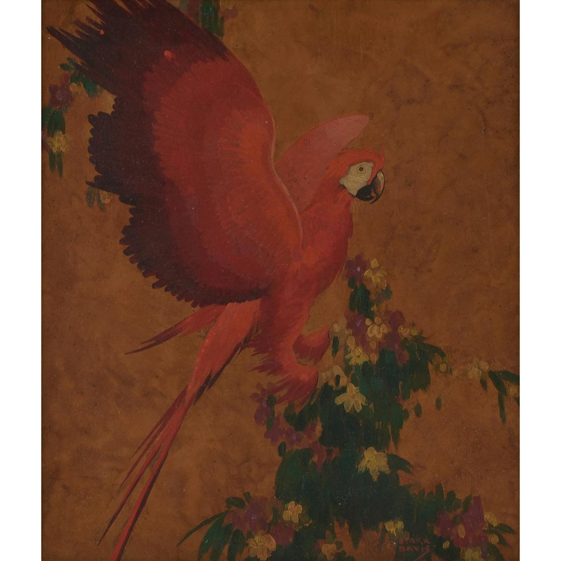 Stark Davis, Red Parrot, oil on board (1 of 2)