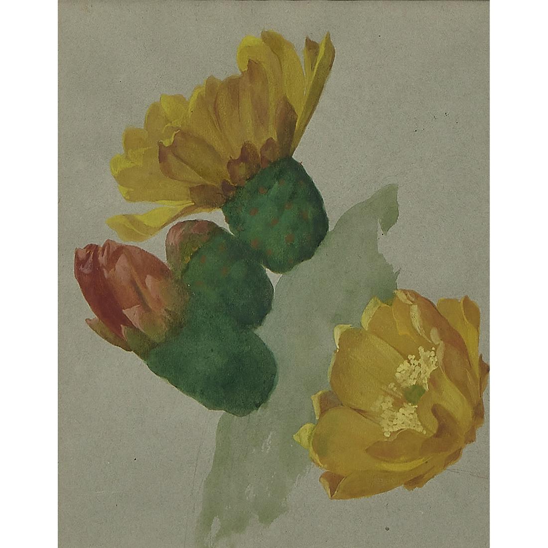 Albert R. Valentien, Coastal Prickly Pear (1 of 2)