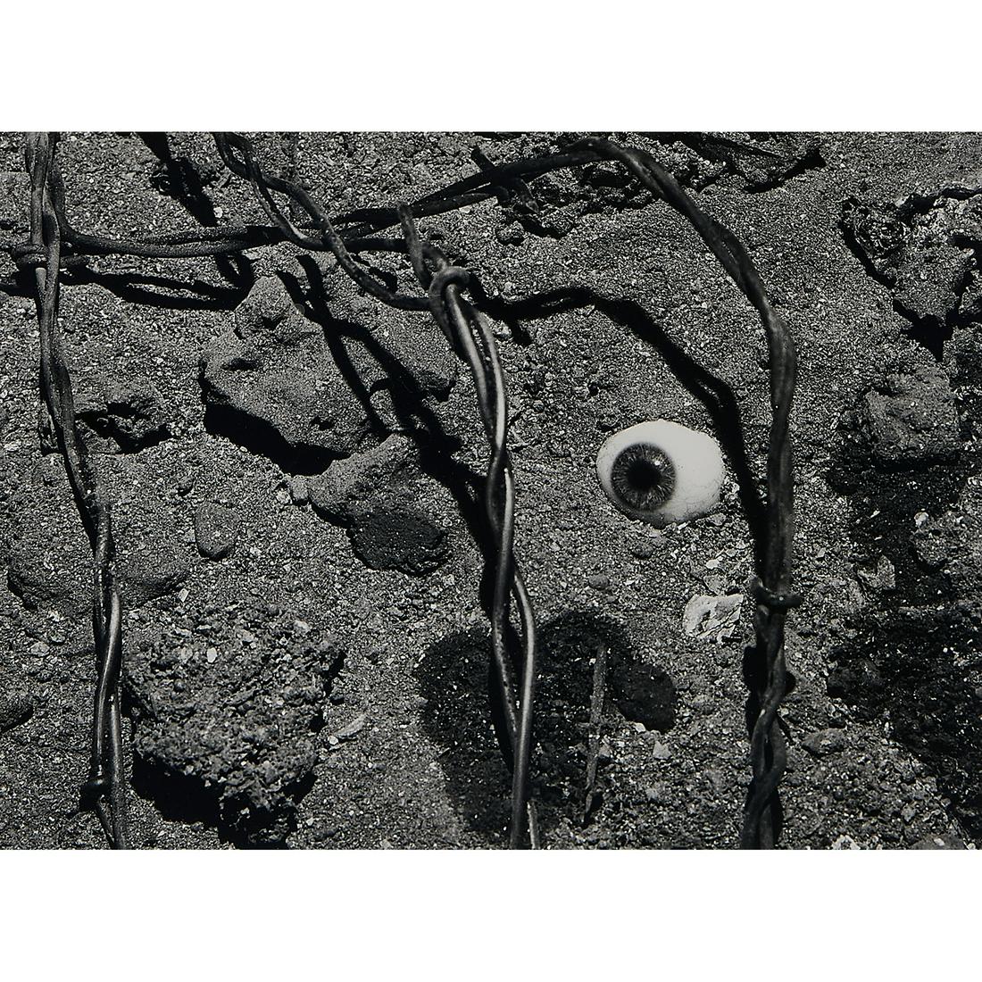 Nathan Lerner, Eye and Barbed Wire, 1939 (1 of 2)