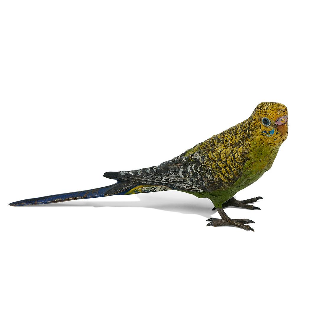 Franz Xaver Bergmann parakeet (1 of 4)