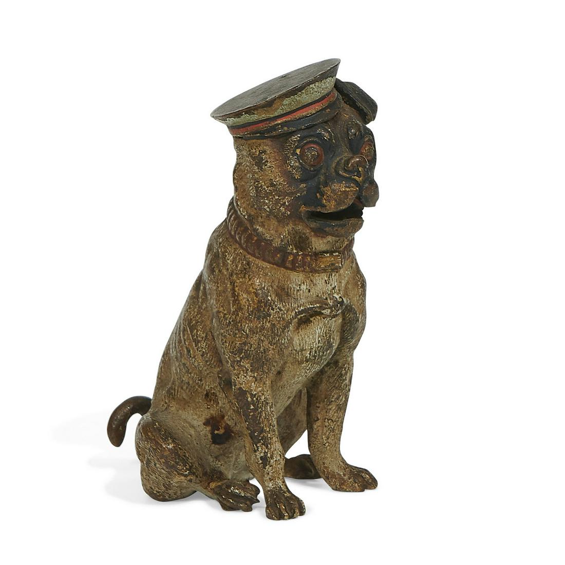 Austrian pug wearing a hat & a bandaged cheek (1 of 5)