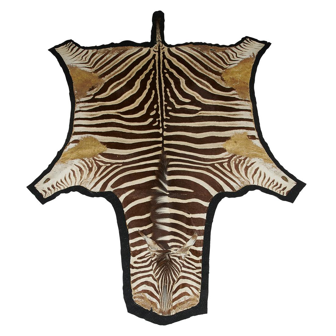 Burchell's Zebra rug (1 of 2)