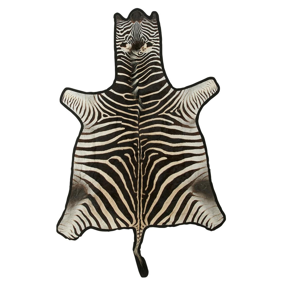 Burchell's Zebra hide rug (1 of 1)