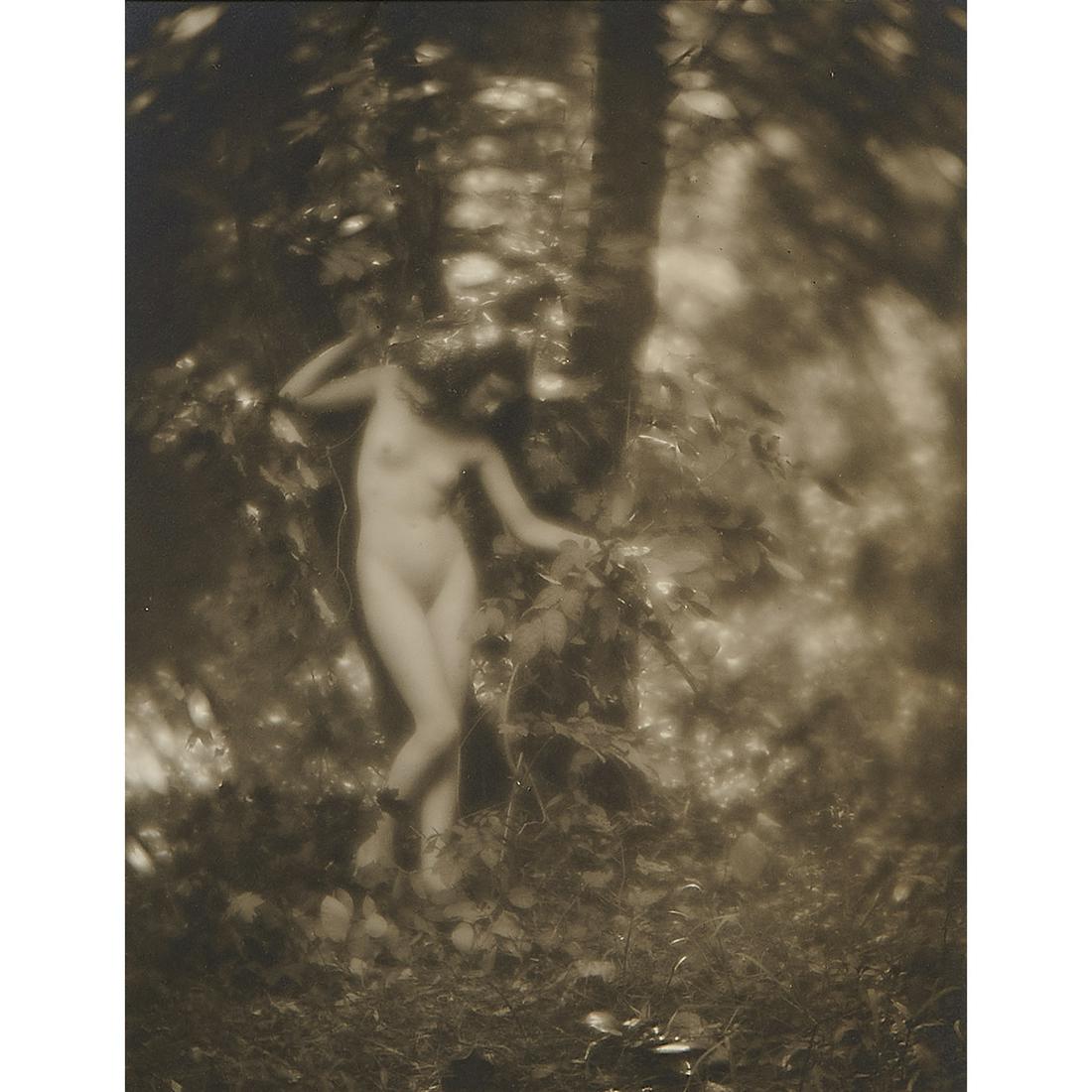 Charles J. Cook, Nudes in Woodland Landscapes (4) (1 of 8)