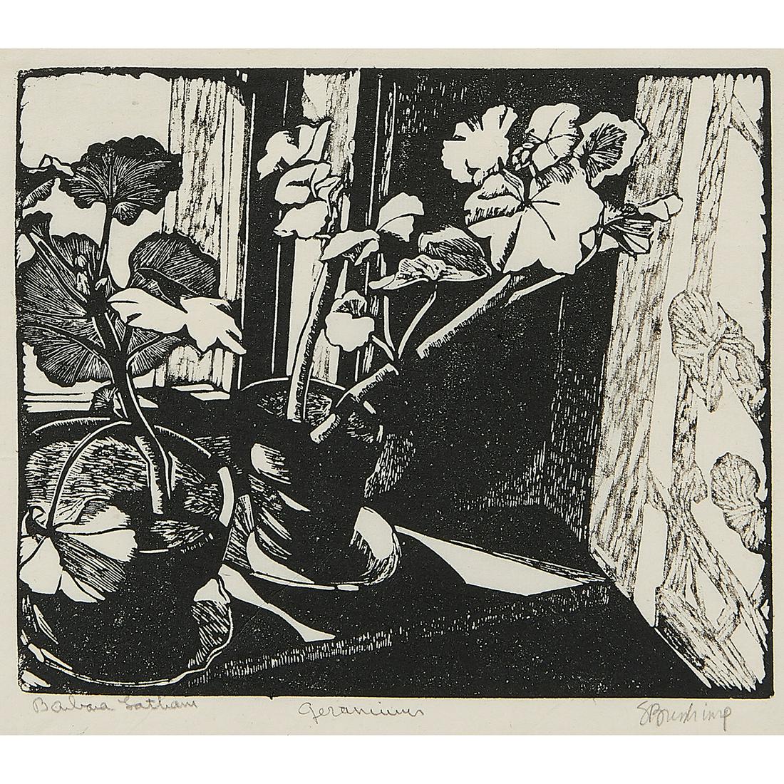 Barbara Latham, Geraniums (1 of 2)