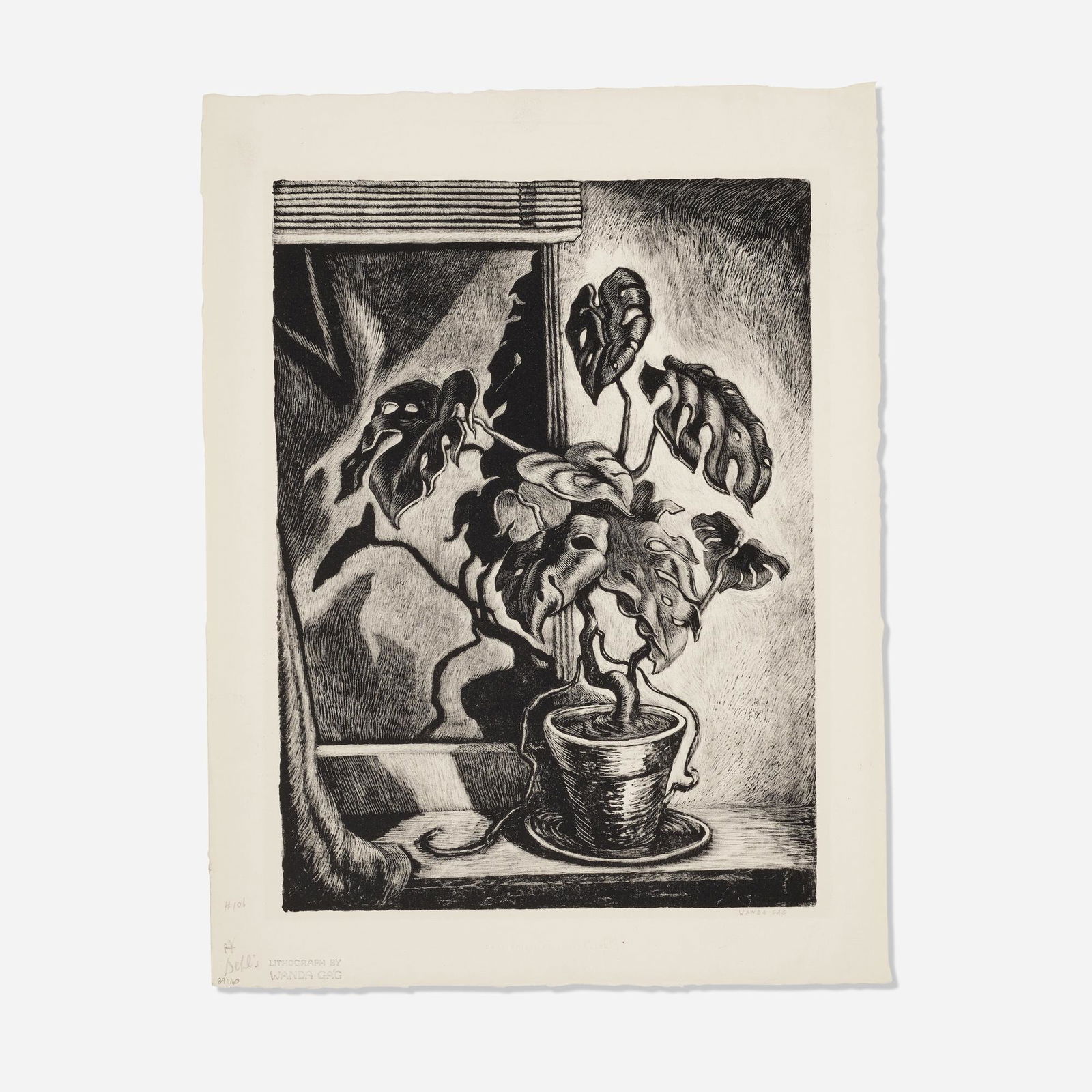 Wanda Gag, Philodendron (1 of 3)