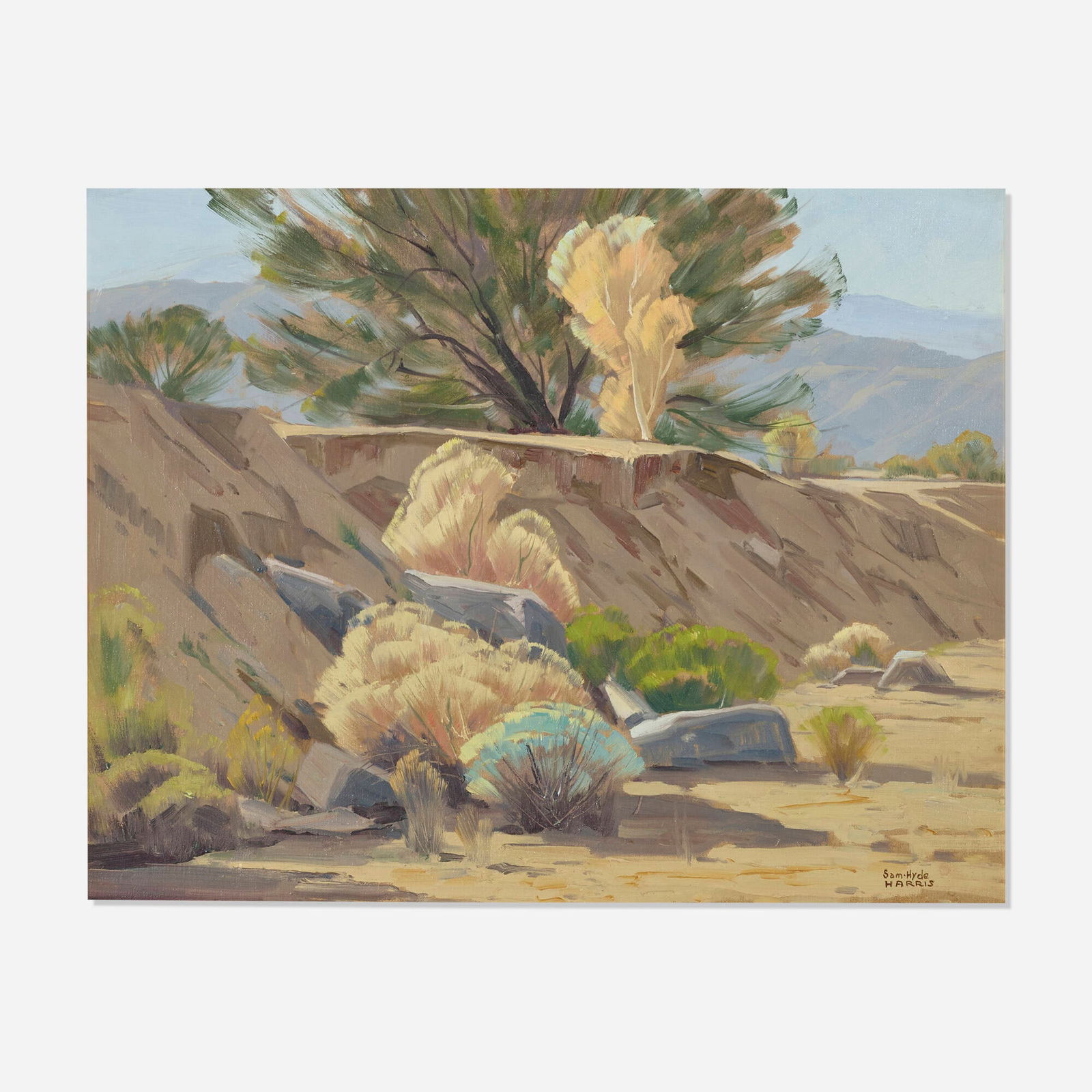 Sam Hyde Harris, Untitled (landscape) (1 of 4)