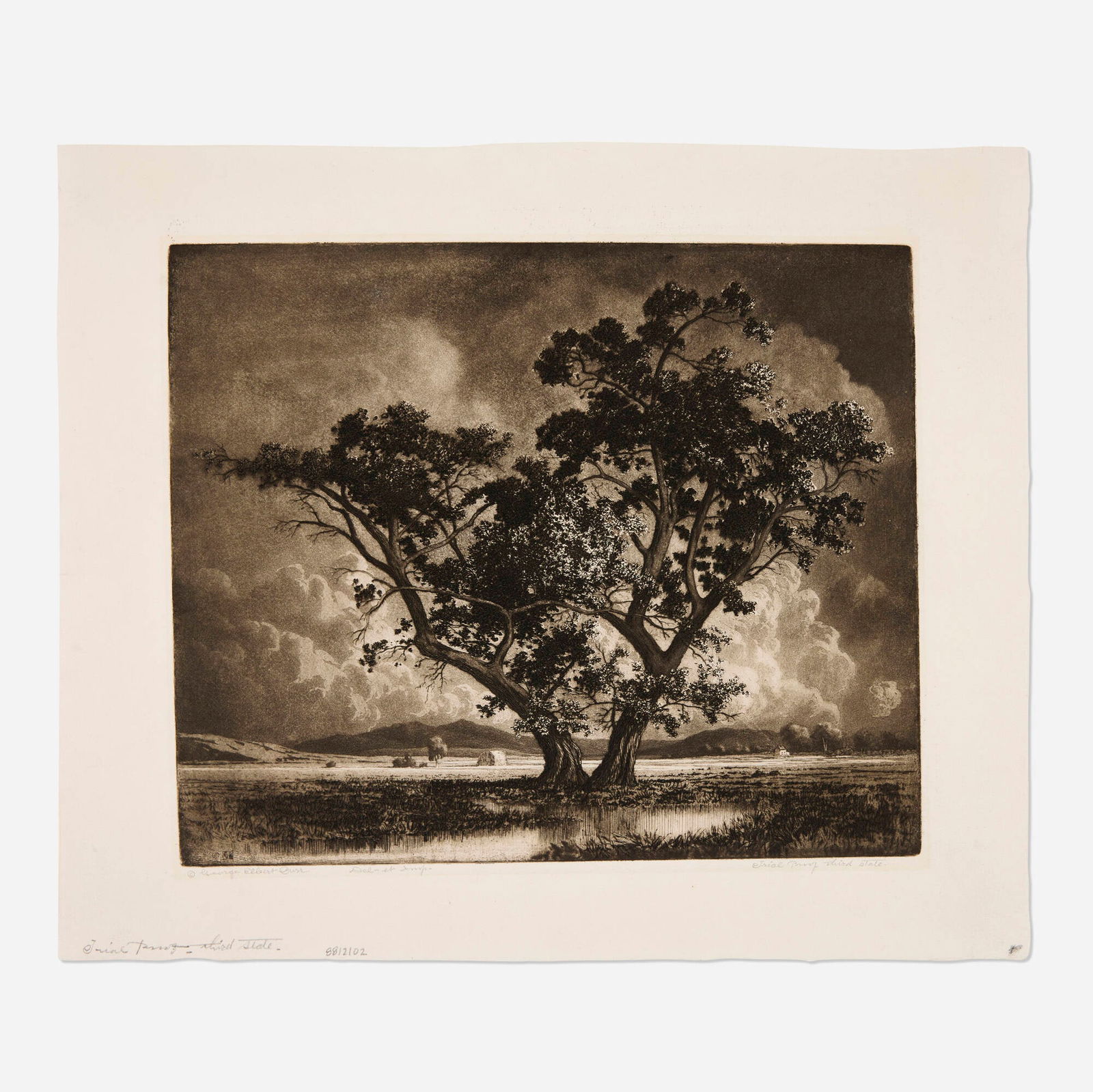 George Elbert Burr, Old Cottonwoods (third state): George Elbert Burr Old Cottonwoods (third state) 1920etching and aquatint on J. Whatman image: 9.875 h x 11.875 w in (25 x 30 cm) sheet: 13.125 h x 15.625 w in (33 x 40 cm) Signed and numbe