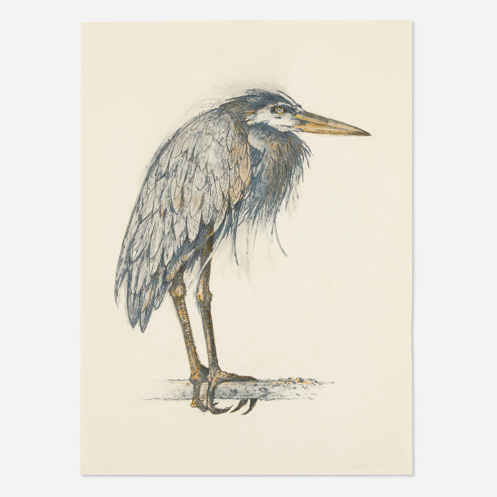 John Alexander, Angry Heron: John Alexander Angry Heron 2000lithograph in colors on Somerset 30.125 h x 22.25 w in (77 x 57 cm) Signed and numbered to lower edge '12/35 John Alexander' with blindstamps. This work is numbe
