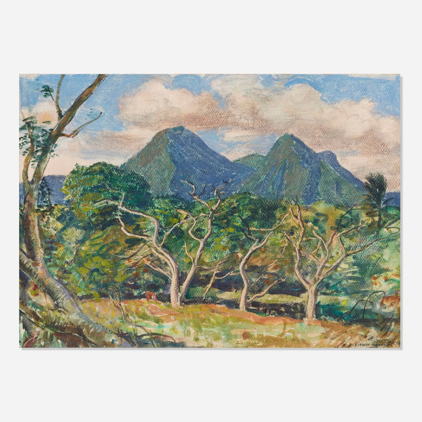 Everett Warner, Martinique, Mont Pelee (1 of 4)