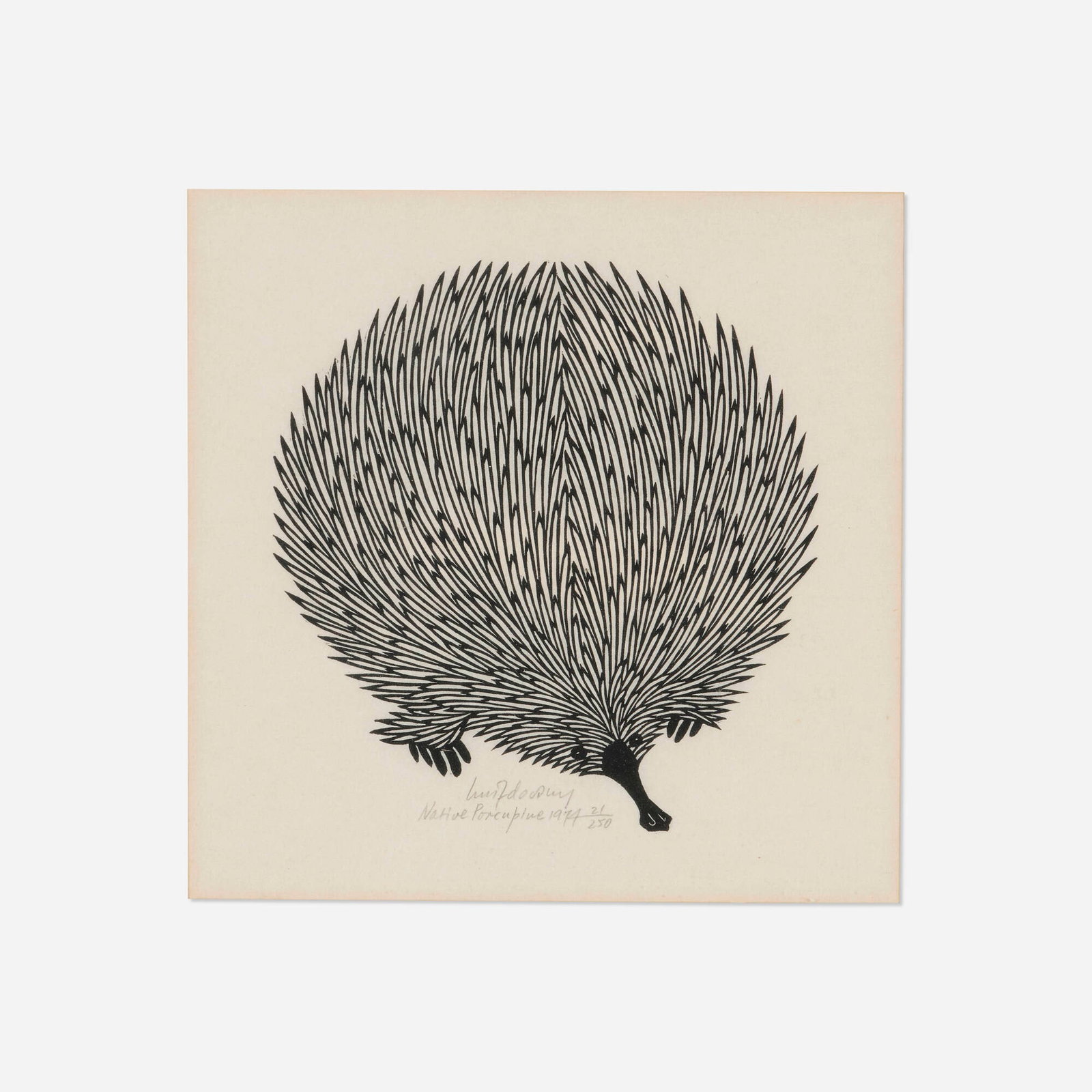 Jacques Hnizdovsky, Native Porcupine (1 of 4)