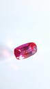 Untreat 0.48ct pinkish red Ruby | CSL