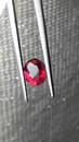 Blood Red Ruby, untreated, loose | IGL 1.092ct