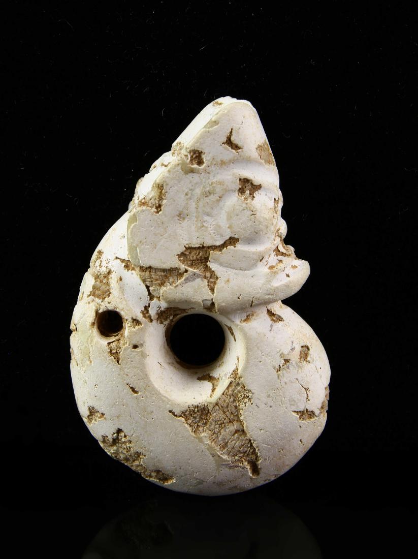 Chinese Jade Dragon (1 of 2)