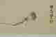 item-64090968=3