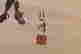 item-74431314=2