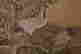 item-74431320=8