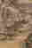 item-74431322=6