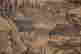item-74431322=7