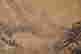 item-74431322=9
