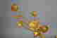 item-78315501=3