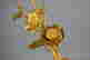 item-78315501=6