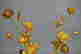 item-78315501=7