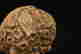 item-78315881=10