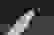 item-87158825=7
