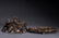 CHINESE CARVED ZITAN 'CHI-DRAGON' CENSER ORNAMENT - 7