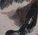 INK AND COLOR PAINTING OF RIVER BANK VIEW - 6
