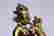 item-92033378=7