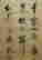 item-95156643=5