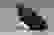 item-105068059=4