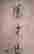 item-61120754=2